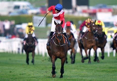 cheltenham best bet